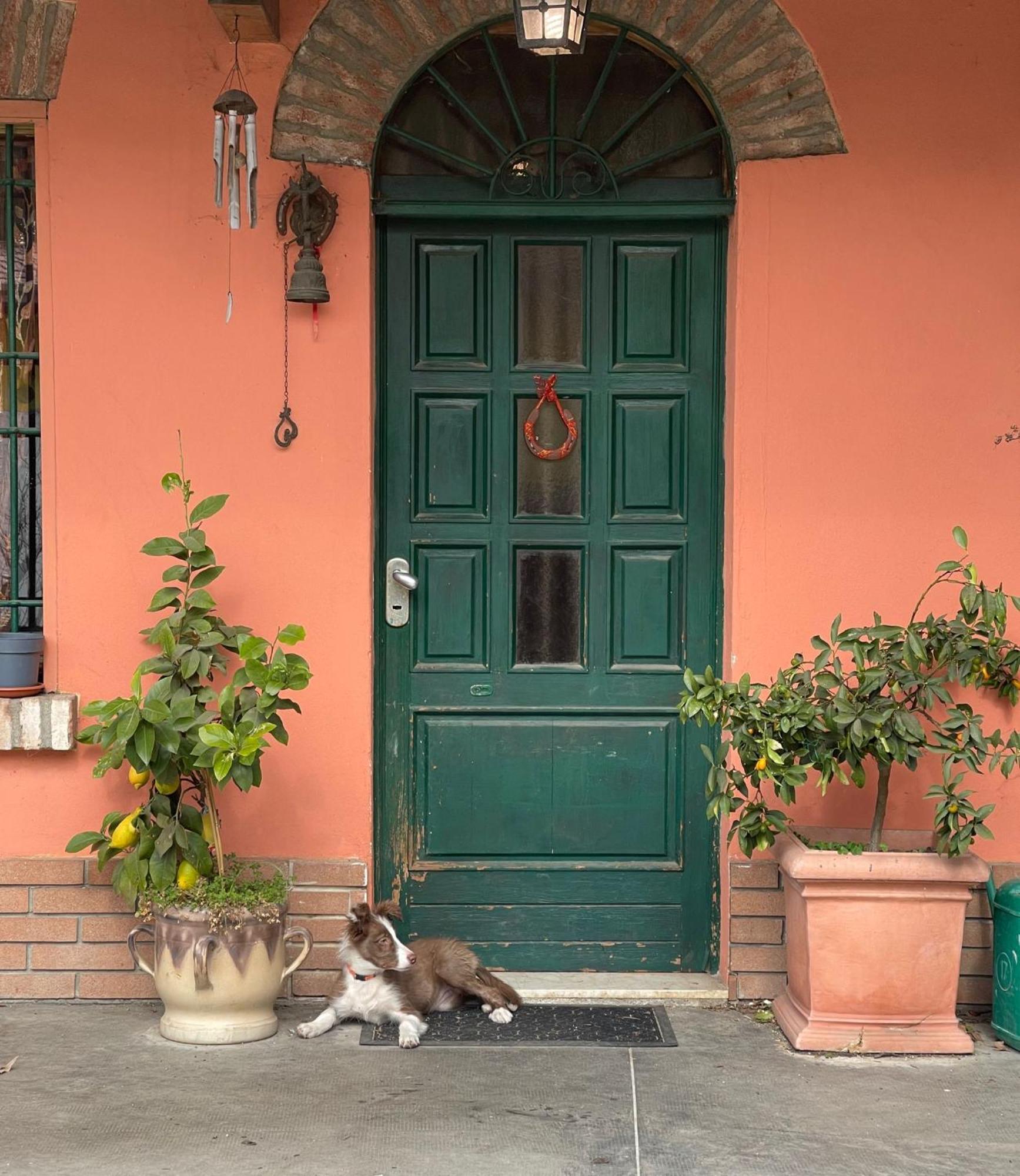 B&B La Cascina Di Alice Кастильоне-делле-Стивьере Экстерьер фото